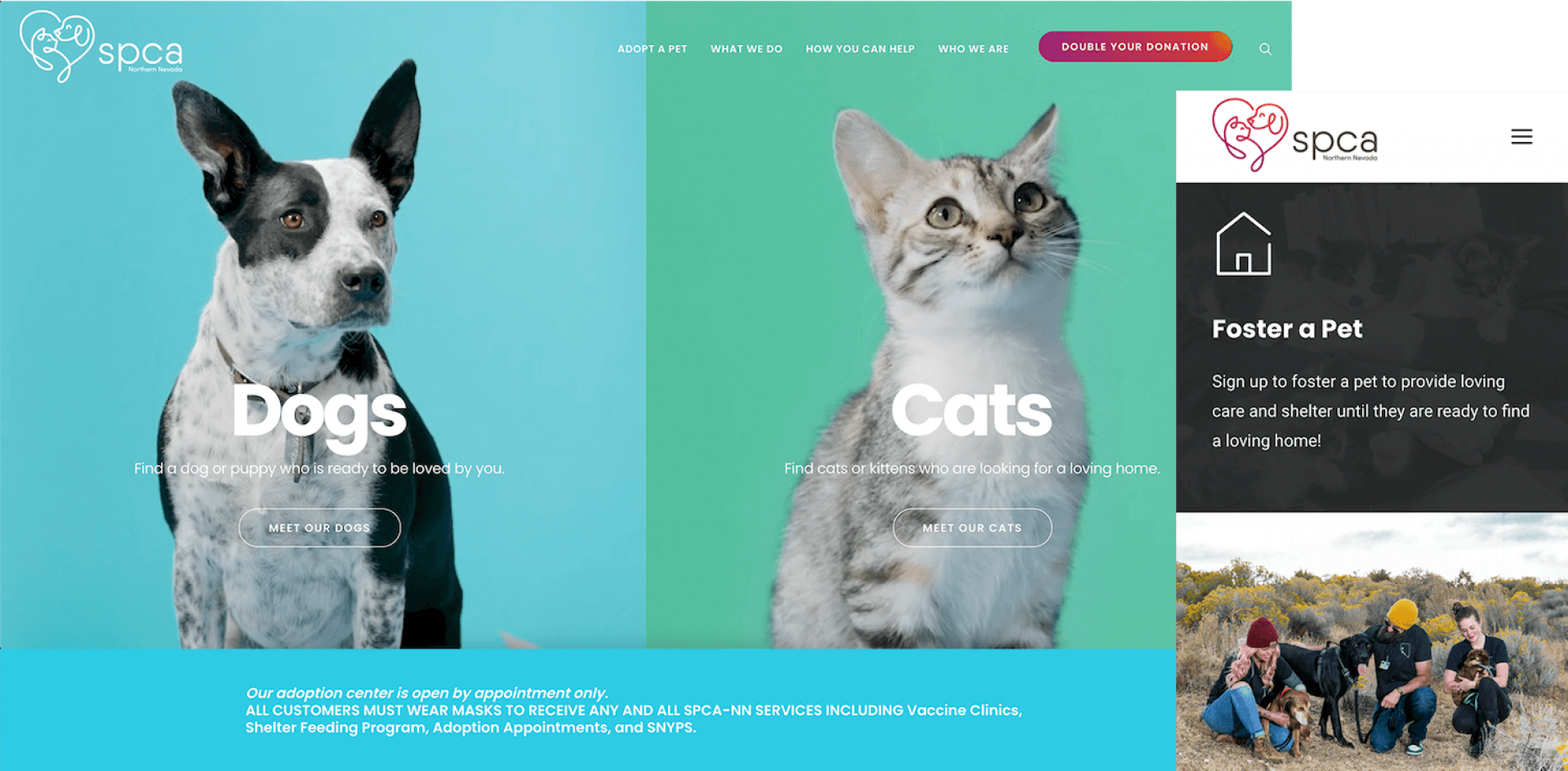 Donating the Purrfect Brand and Website