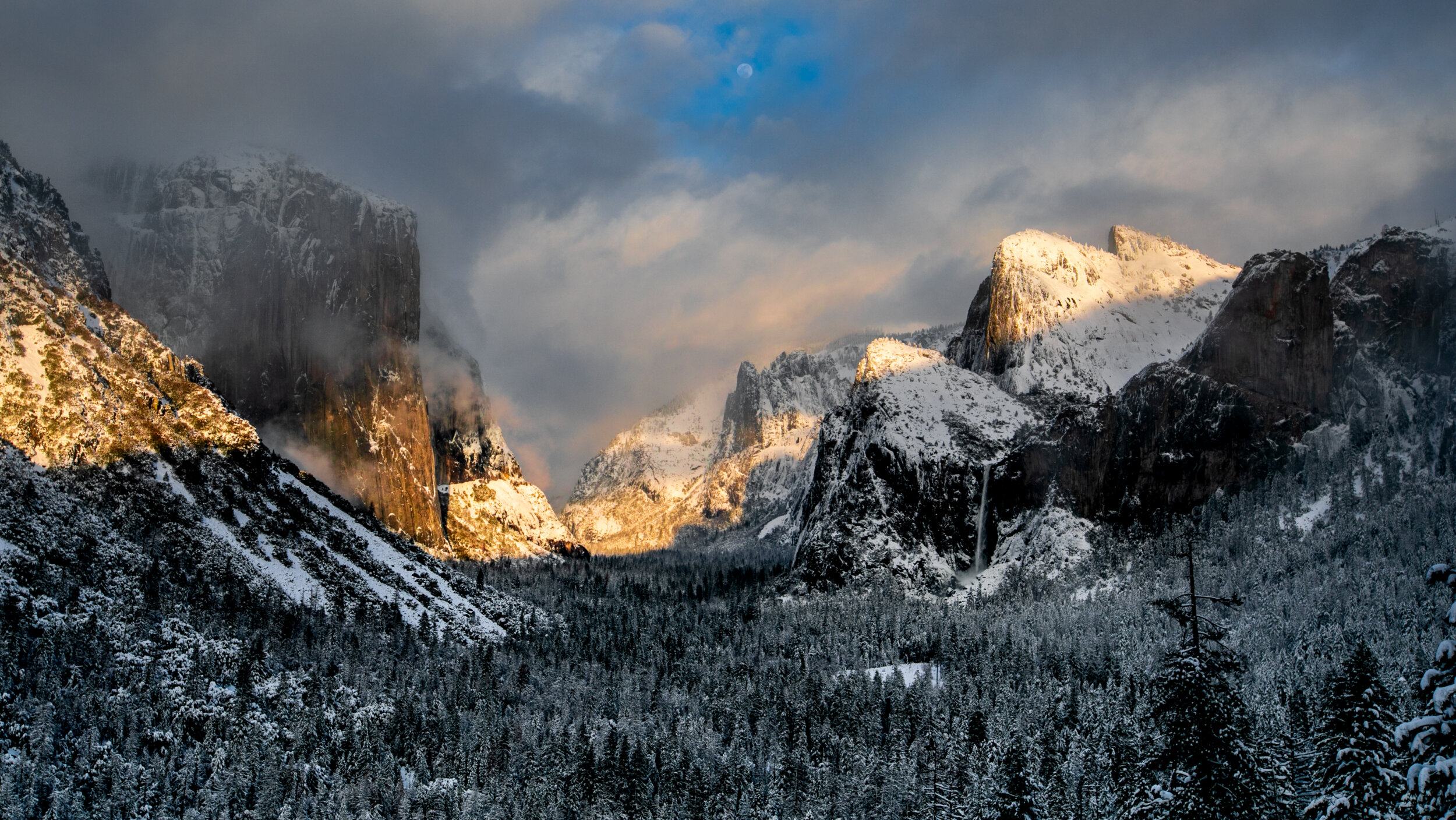 Yosemite Mountains and Trees