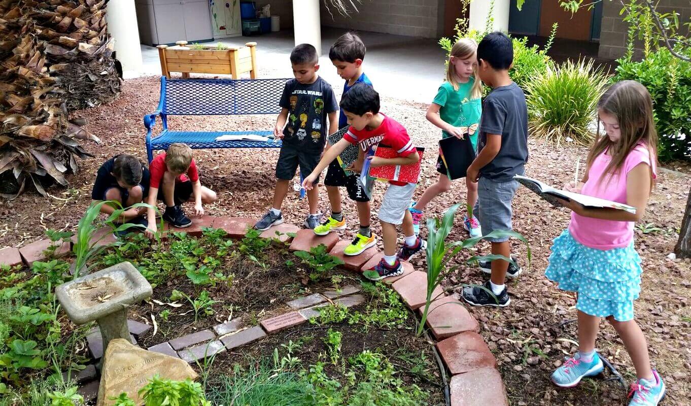 Students work in a Green Our Planet garden at their school
