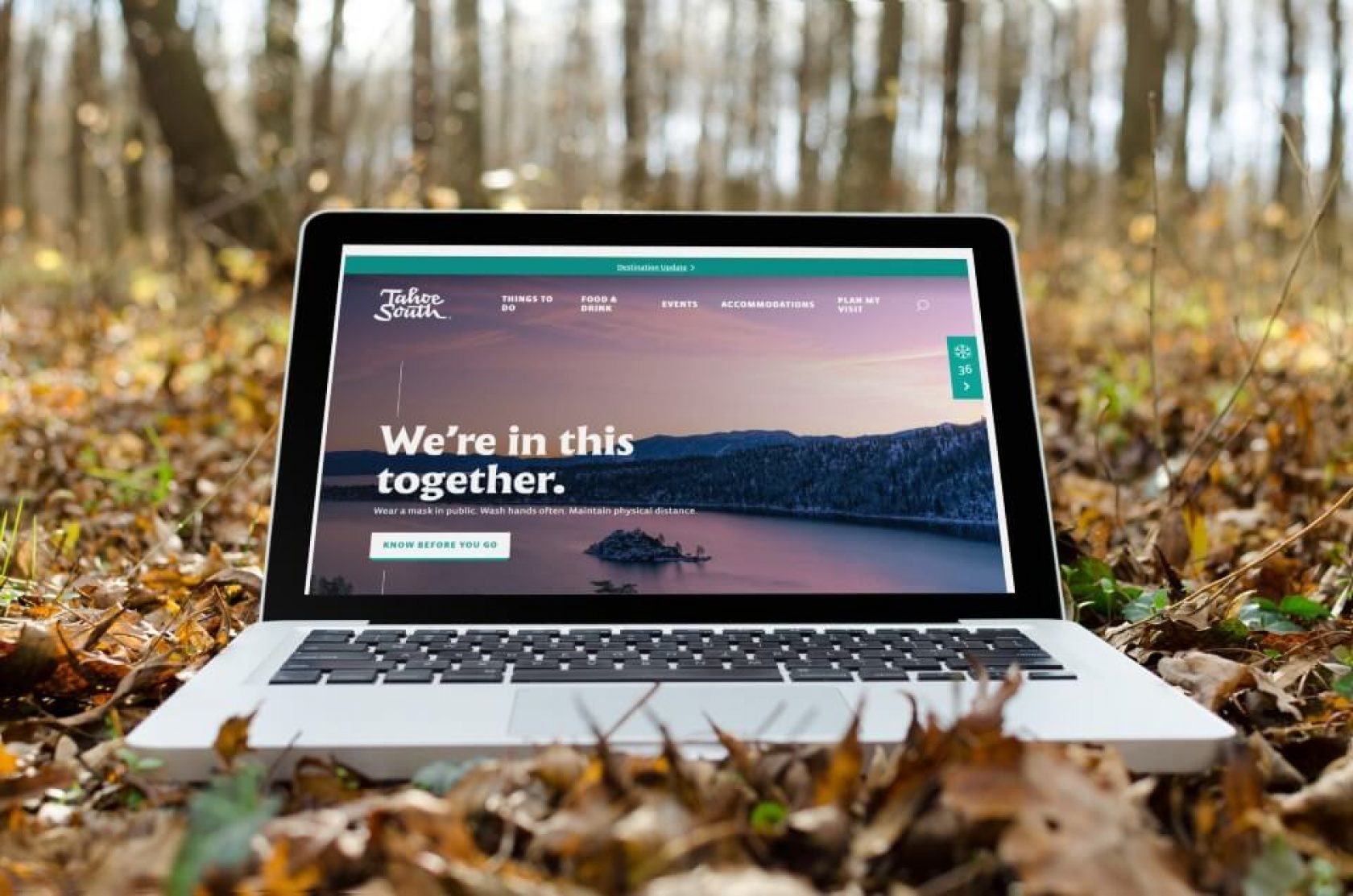 Computer in the woods