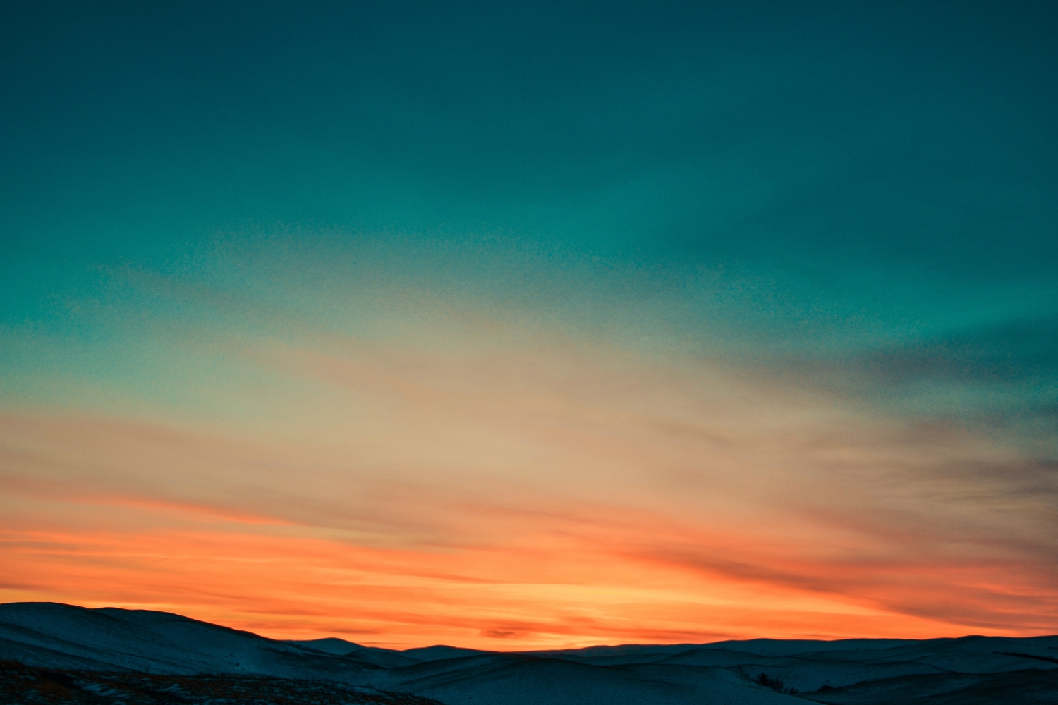 sunsetting universal analytics