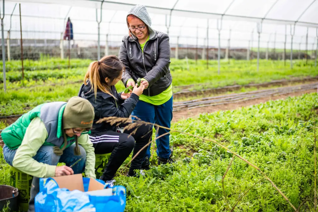 Farm to Pantry - Sonoma County