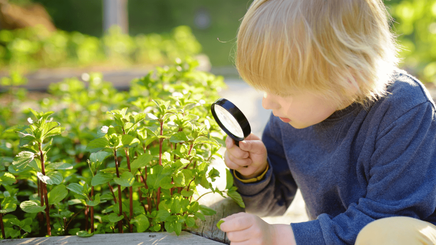 GA4 Funnel Explorations