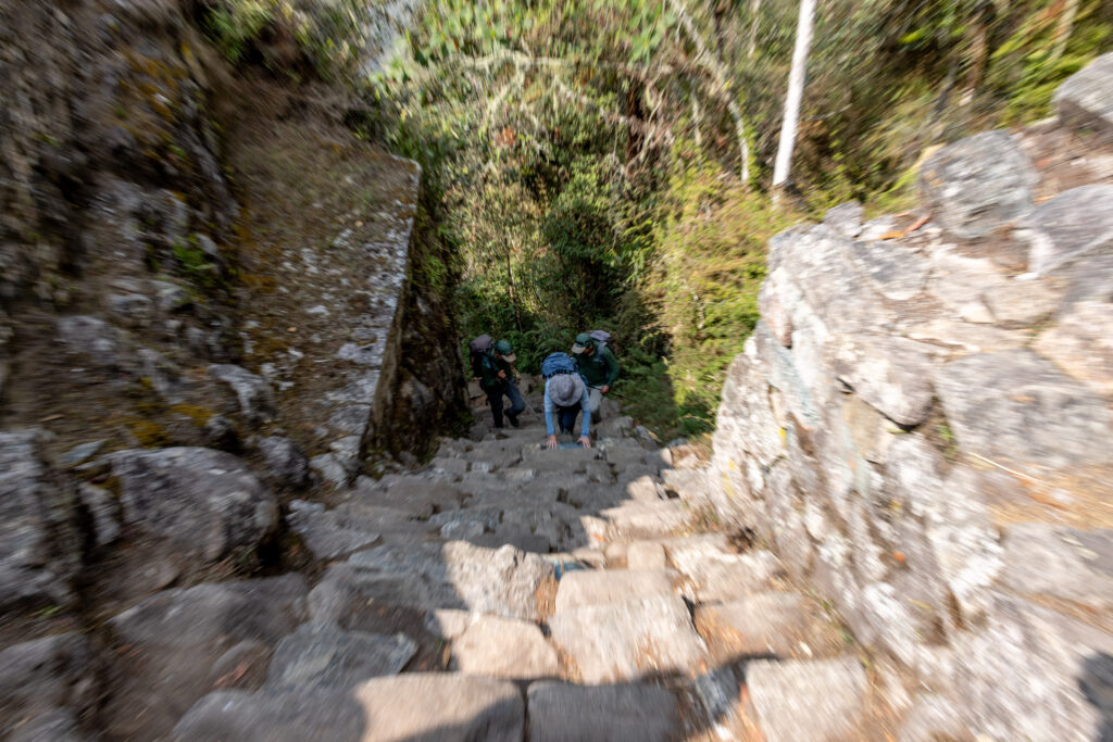 Steep stone steps of the Inca Trail with hikers ascending through a lush forested area, showcasing the challenge and history of the trek.