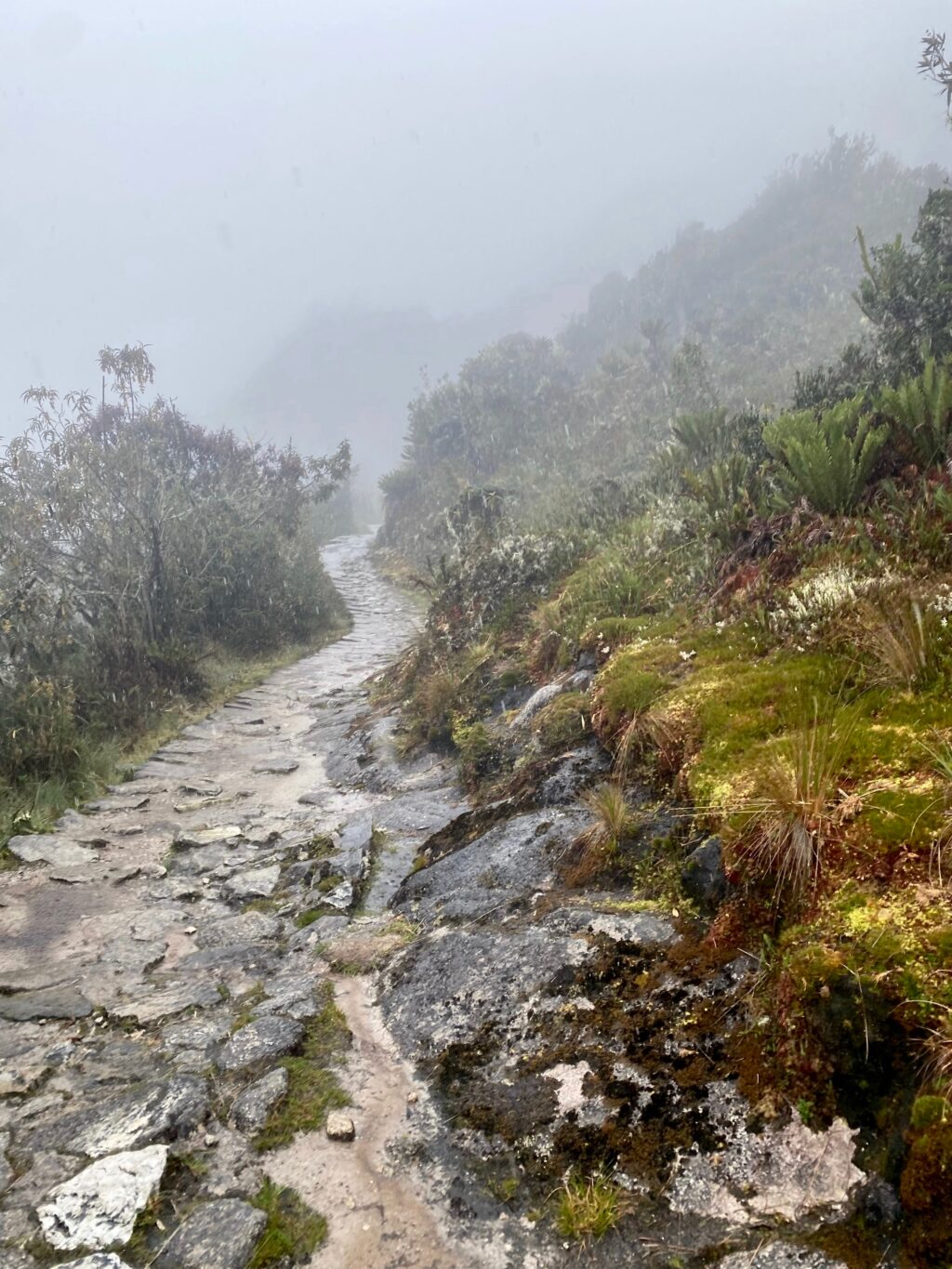 A mist-covered Inca Trail pathway bordered by lush vegetation, showcasing the natural beauty and preservation efforts of the trail.