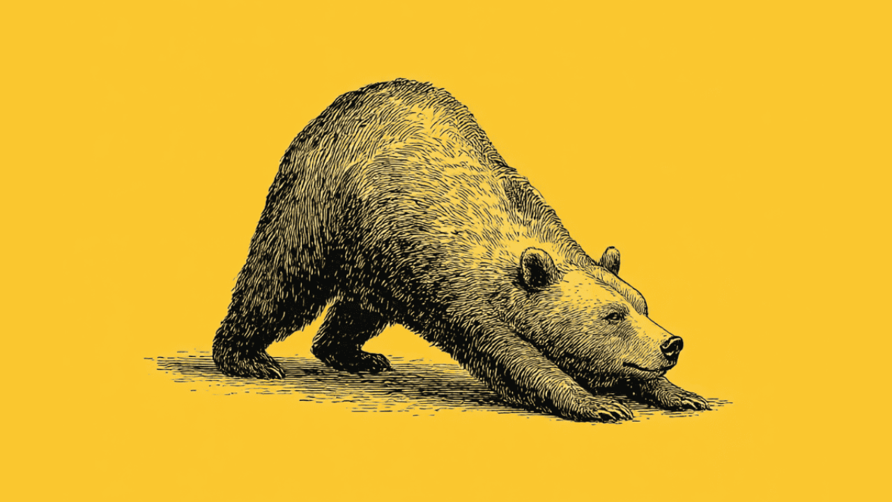 Engraved-style drawing of a bear in a downward dog yoga pose stretching forward with relaxed expression, set against a bright yellow background.